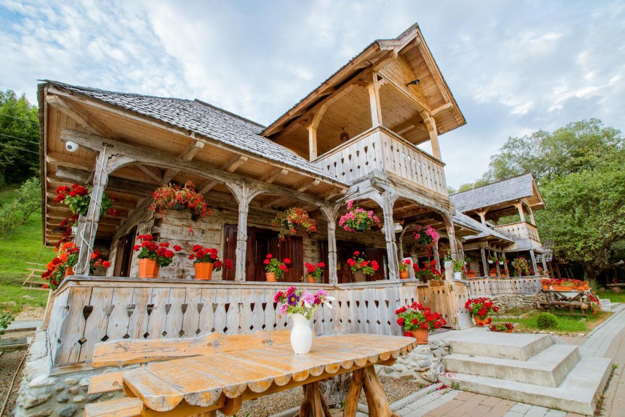 Casutele Din Moisei Hotel Exterior foto