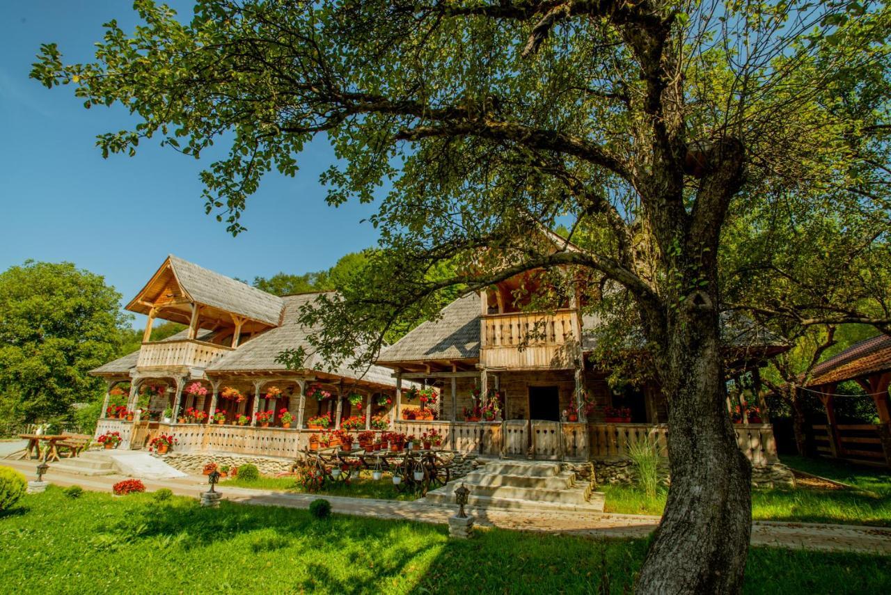 Casutele Din Moisei Hotel Exterior foto